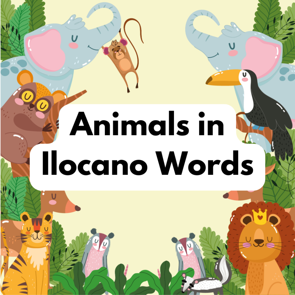 16 Ilocano Words of Colors with English Translation